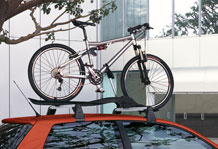 Bicycle With Roof